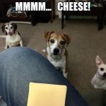 3 Beggers | MMMM...   CHEESE! | image tagged in 3 beggers | made w/ Imgflip meme maker