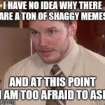 Afraid To Ask Andy (Closeup) Meme | I HAVE NO IDEA WHY THERE ARE A TON OF SHAGGY MEMES AND AT THIS POINT I AM TOO AFRAID TO ASK | image tagged in memes,afraid to ask andy closeup,AdviceAnimals | made w/ Imgflip meme maker