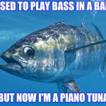Bad pun fish | I USED TO PLAY BASS IN A BAND; BUT NOW I'M A PIANO TUNA | image tagged in tuna fish | made w/ Imgflip meme maker