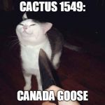 knife cat | CACTUS 1549:; CANADA GOOSE | image tagged in knife cat | made w/ Imgflip meme maker