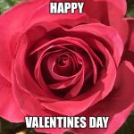 Rose | HAPPY; VALENTINES DAY | image tagged in rose | made w/ Imgflip meme maker