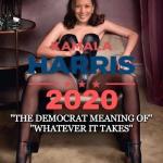 Kamala Harris 2020 meme