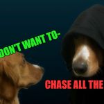 Evil dog | BUT I DON'T WANT TO-; CHASE ALL THE CATS | image tagged in evil dog | made w/ Imgflip meme maker