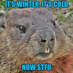Ground hog | IT’S WINTER, IT’S COLD; NOW STFU | image tagged in ground hog | made w/ Imgflip meme maker