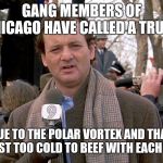 ground hog's dark and cold | GANG MEMBERS OF CHICAGO HAVE CALLED A TRUCE; DUE TO THE POLAR VORTEX AND THAT IT'S JUST TOO COLD TO BEEF WITH EACH OTHER | image tagged in ground hog's dark and cold | made w/ Imgflip meme maker