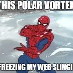 The moment you realize you're not supposed to be out in the cold | THIS POLAR VORTEX; IS FREEZING MY WEB SLINGING | image tagged in spiderman in snow,polar vortex,funny but true | made w/ Imgflip meme maker