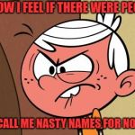 How I feel about namecalling | THIS IS HOW I FEEL IF THERE WERE PEOPLE WHO; LOVE TO CALL ME NASTY NAMES FOR NO REASON. | image tagged in the loud house,lincoln loud,angry,namecalling | made w/ Imgflip meme maker