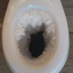 frozen toilet | THE TOILET YOU NEED; AFTER TOO MANY STUFFED HABANERO PEPPERS | image tagged in frozen toilet | made w/ Imgflip meme maker