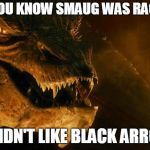 If you get this, you're a true Tolkien fan | DID YOU KNOW SMAUG WAS RACIST? HE DIDN'T LIKE BLACK ARROWS | image tagged in smaug,funny,the hobbit,dragon,memes | made w/ Imgflip meme maker