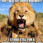 lion | I WAS TOLD IF YOU SEE A LION KEEP STILL AND DON'T MAKE ANY SUDDEN MOVEMENTS; I STOOD STILL FOR 6 HOURS UNTIL A MAN SAID... THE ZOO CLOSES IN 10 MINUTES SIR | image tagged in lion | made w/ Imgflip meme maker