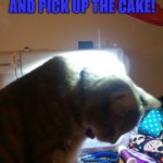 Cat on sewing machine  | DON'T BE "CATTY"; ORDERS CAN WAIT! DROP THE SCISSORS AND PICK UP THE CAKE! HAPPY BIRTHDAY, TARA! | image tagged in cat on sewing machine | made w/ Imgflip meme maker