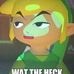 Link is Not Happy With You | WAT; WAT THE HECK U SAY TO ME | image tagged in link is not happy with you | made w/ Imgflip meme maker