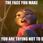 Sneeze Face - Zootopia edition | THE FACE YOU MAKE; WHEN YOU ARE TRYING NOT TO SNEEZE | image tagged in judy hopps sneeze,zootopia,judy hopps,sneeze,funny,memes | made w/ Imgflip meme maker
