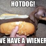 Hotdog | HOTDOG! WE HAVE A WIENER! | image tagged in hotdog | made w/ Imgflip meme maker