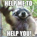 Fence Raccoon | HELP ME TO; HELP YOU! | image tagged in fence raccoon | made w/ Imgflip meme maker