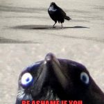 Bird Weekend February 1-3, a moemeobro, Claybourne, and 1forpeace Event! ThanksDashHopes for greasing the wheels! | IT'S BIRD WEEK! BE ASHAME IF YOU DIDN'T SUBMIT A BIRD MEME! | image tagged in insanity crow,nixieknox,memes,bird week | made w/ Imgflip meme maker