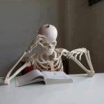skeleton reading book meme