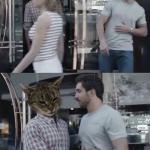 Cat stopping guy meme