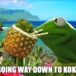 Kermit needs a vacation that's way down to Kokomo | I'M GOING WAY DOWN TO KOKOMO | image tagged in vacation kermit | made w/ Imgflip meme maker