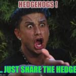 Not so super..sonic. | HEDGEHOGS ! .. JUST SHARE THE HEDGE | image tagged in jersey shore,hedgehog,really youre reading the tags | made w/ Imgflip meme maker