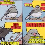 Annoyed Bird | AH, TIME FOR BIRD WEEKEND; OH YEAH; TRUE DE. NEVER EVER; BIRD WEEKEND; THESE ARE THE MOMENTS I WISH I WAS AN AMPHIBIAN; STOP, PLEASE | image tagged in annoyed bird | made w/ Imgflip meme maker
