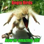 Angry Birds is coming into the 21st century - Bird Weekend February 1-3, a moemeobro, Claybourne, and 1forpeace Event | Angry Birds; Now in amazing 3D! | image tagged in angry bird | made w/ Imgflip meme maker