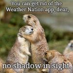 Groundhog family | You can get rid of the Weather Nation app, dear, no shadow in sight. | image tagged in groundhog family,punxsutawney phil,early spring predicted,2019,cute | made w/ Imgflip meme maker