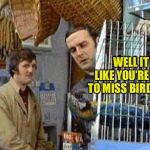 Bird week. My first one! | WELL IT LOOKS LIKE YOU’RE GOING TO MISS BIRD WEEK | image tagged in monty python dead parrot | made w/ Imgflip meme maker