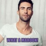 Adam Levine | WHAT A MAROON! | image tagged in adam levine | made w/ Imgflip meme maker