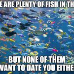 Jumping back into the dating pool isn't going as well as I hoped  | THERE ARE PLENTY OF FISH IN THE SEA; BUT NONE OF THEM WANT TO DATE YOU EITHER | image tagged in fish in the sea,dating,demotivationals | made w/ Imgflip meme maker