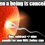 Conception | When a being is conceived; Now, subtract +/- nine months for your REAL Zodiac sign | image tagged in conception | made w/ Imgflip meme maker