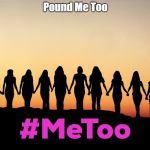 MeToo | Pound Me Too | image tagged in metoo | made w/ Imgflip meme maker