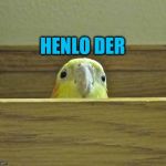 The Birb | HENLO DER | image tagged in the birb | made w/ Imgflip meme maker