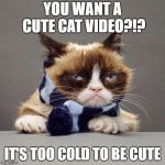 grumpy cat winter | YOU WANT A CUTE CAT VIDEO?!? IT'S TOO COLD TO BE CUTE | image tagged in grumpy cat winter | made w/ Imgflip meme maker