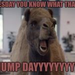 Hump Day Camel | IT WEDNESDAY YOU KNOW WHAT THAT MEANS; IT HUMP DAYYYYYYYYYYY | image tagged in hump day camel | made w/ Imgflip meme maker