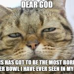 Sleepy Cat | DEAR GOD; THIS HAS GOT TO BE THE MOST BORING SUPER BOWL I HAVE EVER SEEN IN MY LIFE! | image tagged in sleepy cat | made w/ Imgflip meme maker
