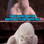 Ba-dump-tss | I ONCE SWAM FROM THE NORTH POLE TO THE SOUTH POLE; I GUESS THAT MAKES ME A BI-POLAR BEAR | image tagged in bad joke polar bear,memes | made w/ Imgflip meme maker