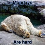 oh no not again  | Mondays; Are hard | image tagged in oh no not again | made w/ Imgflip meme maker