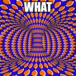 Optical Illusion | WHAT | image tagged in optical illusion | made w/ Imgflip meme maker