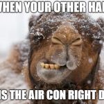 Freezing Hump Day Camel | WHEN YOUR OTHER HALF; TURNS THE AIR CON RIGHT DOWN | image tagged in freezing hump day camel | made w/ Imgflip meme maker