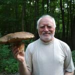 Hide The Pain Harold Holding A Mushroom