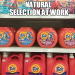 Tide pods | NATURAL SELECTION AT WORK | image tagged in tide pods | made w/ Imgflip meme maker