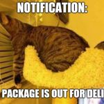 Waiting the mailman | NOTIFICATION:; YOUR PACKAGE IS OUT FOR DELIVERY | image tagged in waiting the mailman | made w/ Imgflip meme maker