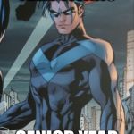 nightwing | TEEN TITANS; SENIOR YEAR | image tagged in nightwing | made w/ Imgflip meme maker