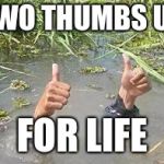 underWater | TWO THUMBS UP FOR LIFE | image tagged in underwater | made w/ Imgflip meme maker