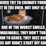 Cat in oven | NEVER TRY TO CREMATE YOUR PET IN THE OVEN. NOT ONLY IS IT; ONE OF THE WORST SMELLS IMAGINABLE, THEY DON’T TURN TURN TO ASHES, THEY JUST BURN.  THIS DAY DIDN’T START OFF GOOD. | image tagged in cat in oven | made w/ Imgflip meme maker