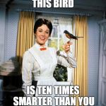 Mary Poppins | THIS BIRD; IS TEN TIMES SMARTER THAN YOU | image tagged in mary poppins | made w/ Imgflip meme maker