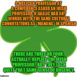 An early start on humor for St Paddy's | A MEXICAN PROFESSOR AT A CONFERENCE ASKED AN IRISH PROFESSOR IF GAELIC HAD ANY WORDS WITH THE SAME CULTURAL CONNOTATIONS AS "MANANA" IN SPANISH; THERE ARE THREE OR FOUR, ACTUALLY, REPLIED THE IRISH PROFESSOR.  BUT THEY LACK QUITE THAT SAME SENSE OF URGENCY. | image tagged in irish,mexican | made w/ Imgflip meme maker