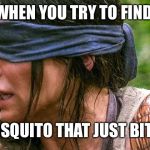 Bird box | WHEN YOU TRY TO FIND; A MOSQUITO THAT JUST BIT YOU | image tagged in bird box | made w/ Imgflip meme maker