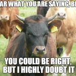 Passive-Aggressive Bull | I HEAR WHAT YOU ARE SAYING, BRUH; YOU COULD BE RIGHT, BUT I HIGHLY DOUBT IT | image tagged in passive-aggressive bull | made w/ Imgflip meme maker